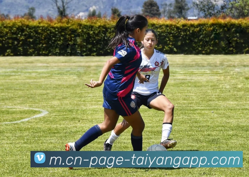 太阳城品牌故事