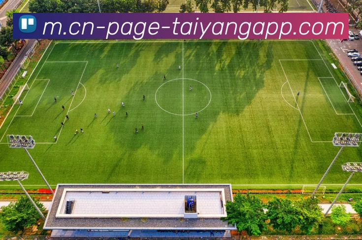 太阳城服务体系